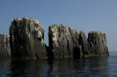 The Pinnacles, The Farne Islands